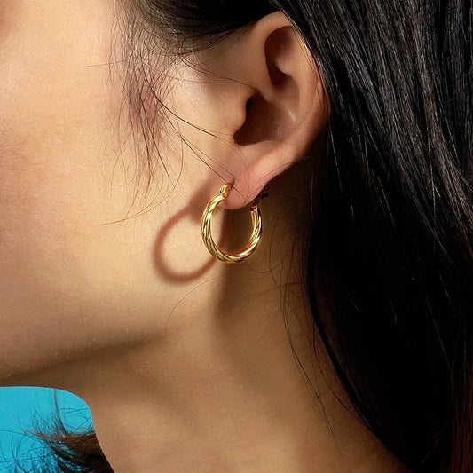 Stainless Steel Plated with 18K Gold Plated Twist Hoop Earrings for Women, Simple Ear Ring Hypoallergenic Jewelry